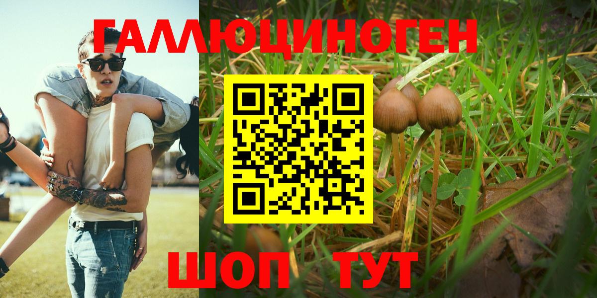 Галлюциногенные грибы Cubensis  Вход с VPN  Мичуринск 